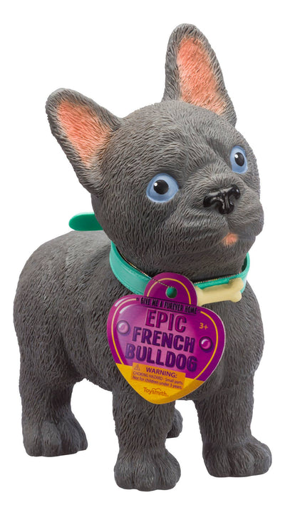 French Bull Dog Epic Puppy