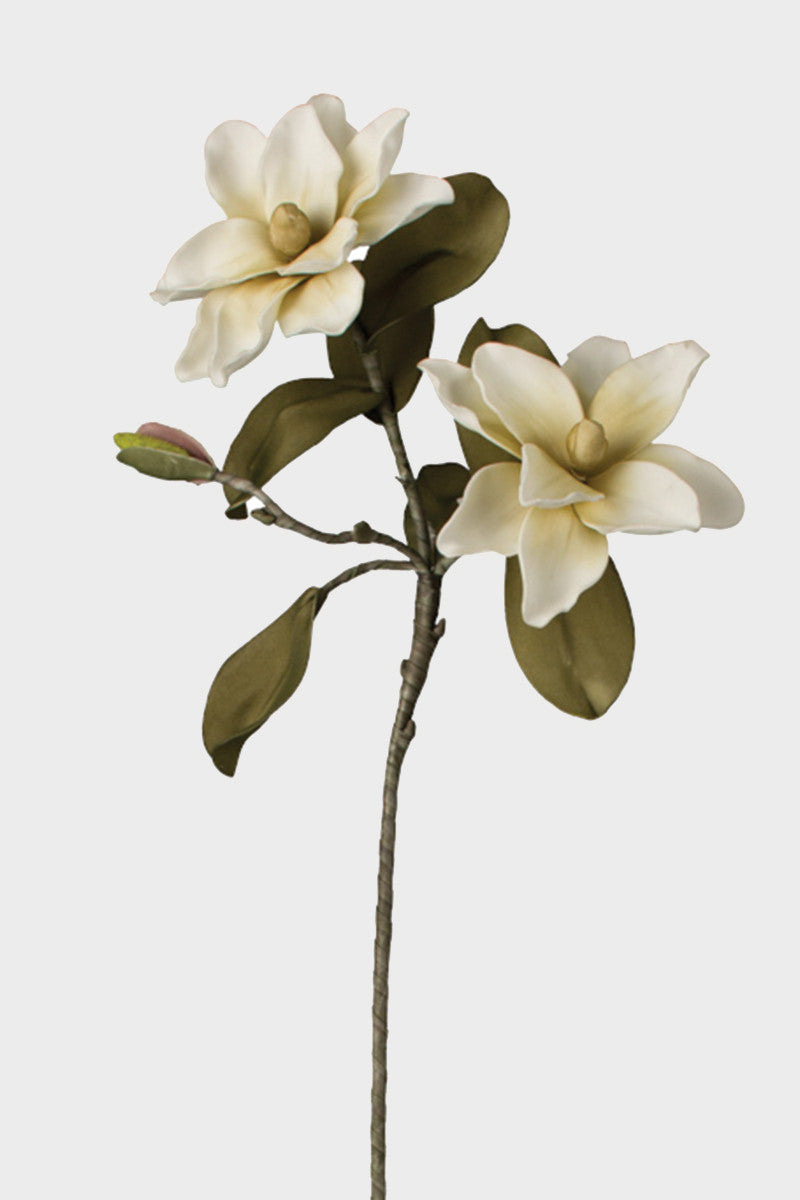 Magnolia Stem #2015
