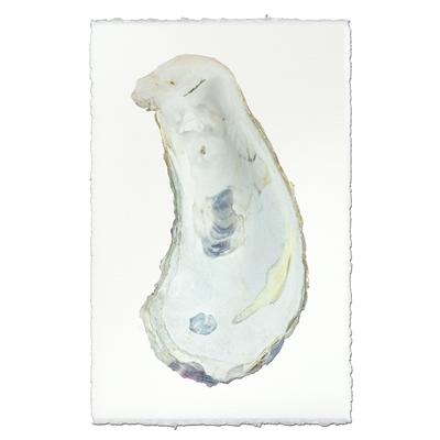 Oyster #1