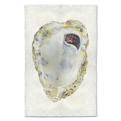 Oyster #3