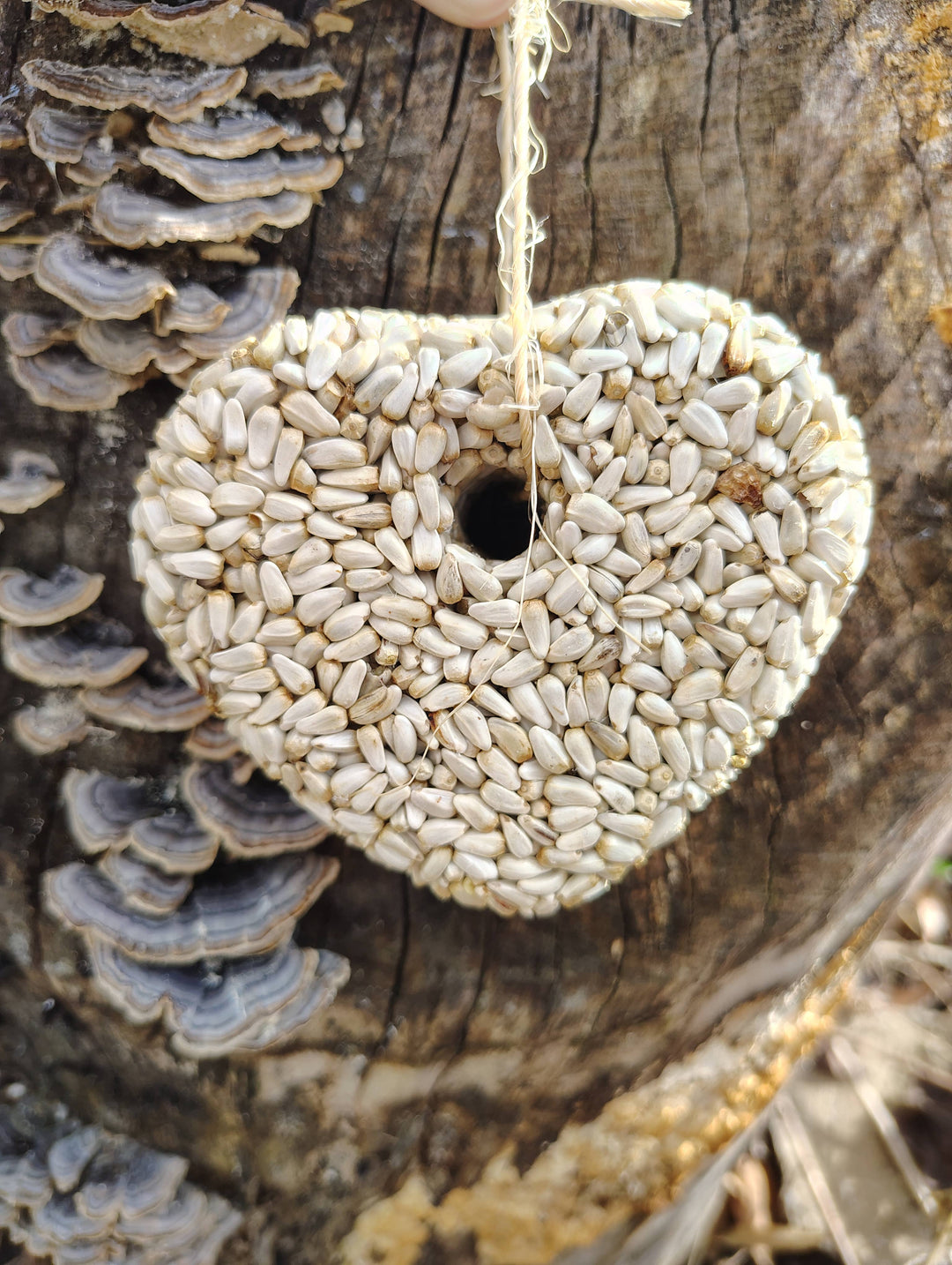 Heart Birdseed Ornament (Safflower)