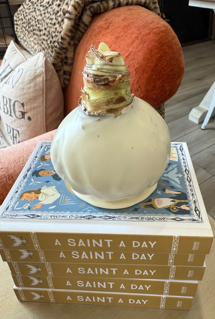 Ivory Elegance White Flower Bulb