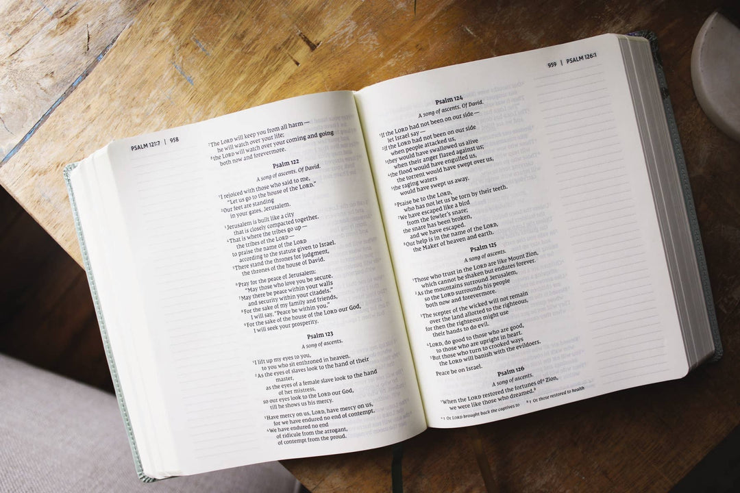 NIV Artisan Collection Large Print Leathersoft Bible