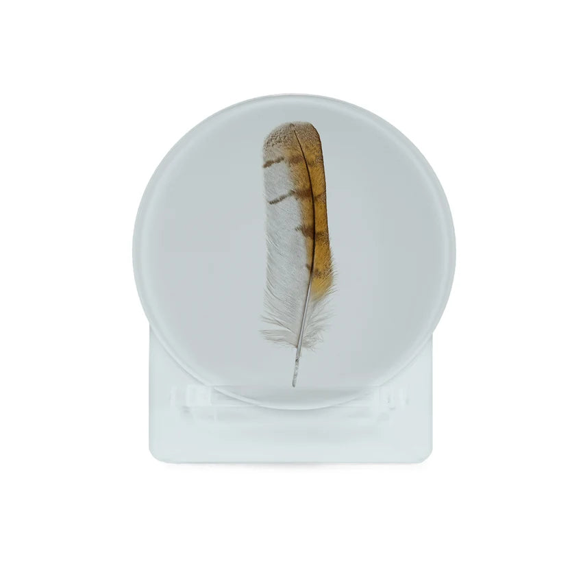 Feather Glass Coaster Set