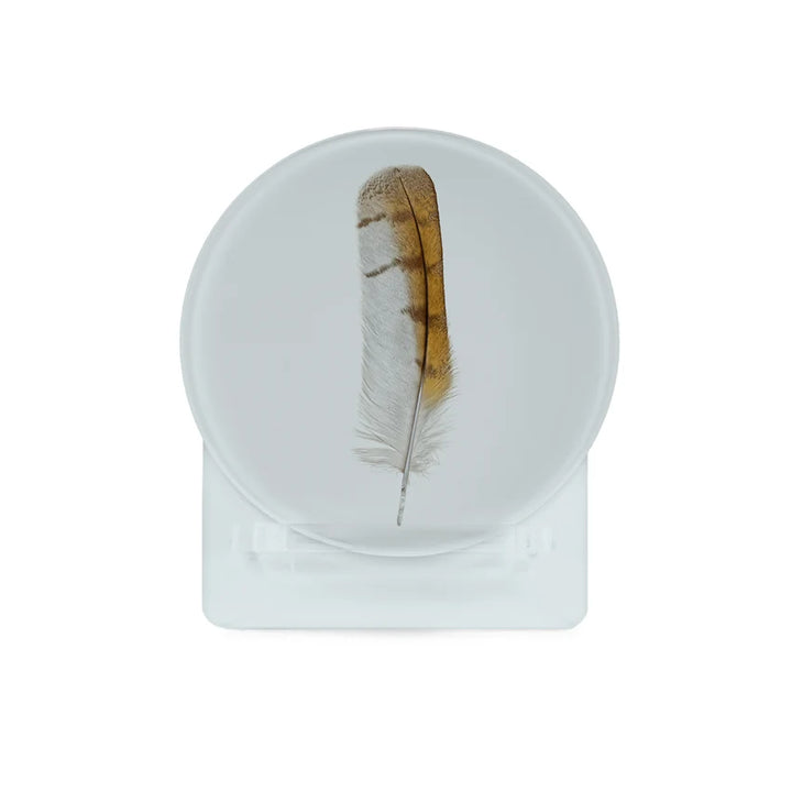 Feather Glass Coaster Set