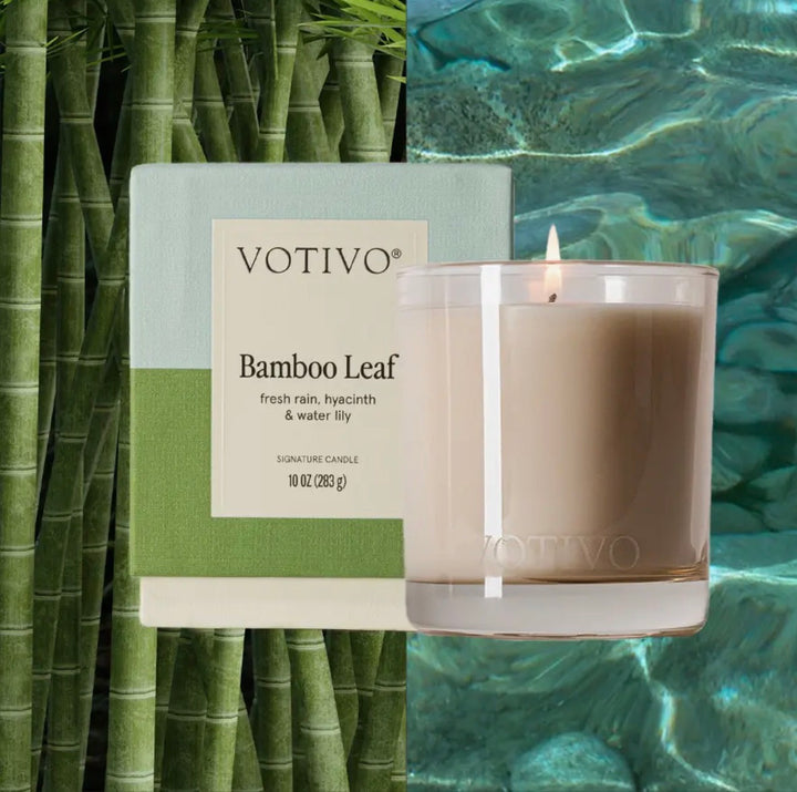 Bamboo Leaf Signature Boxed Candle 10 oz