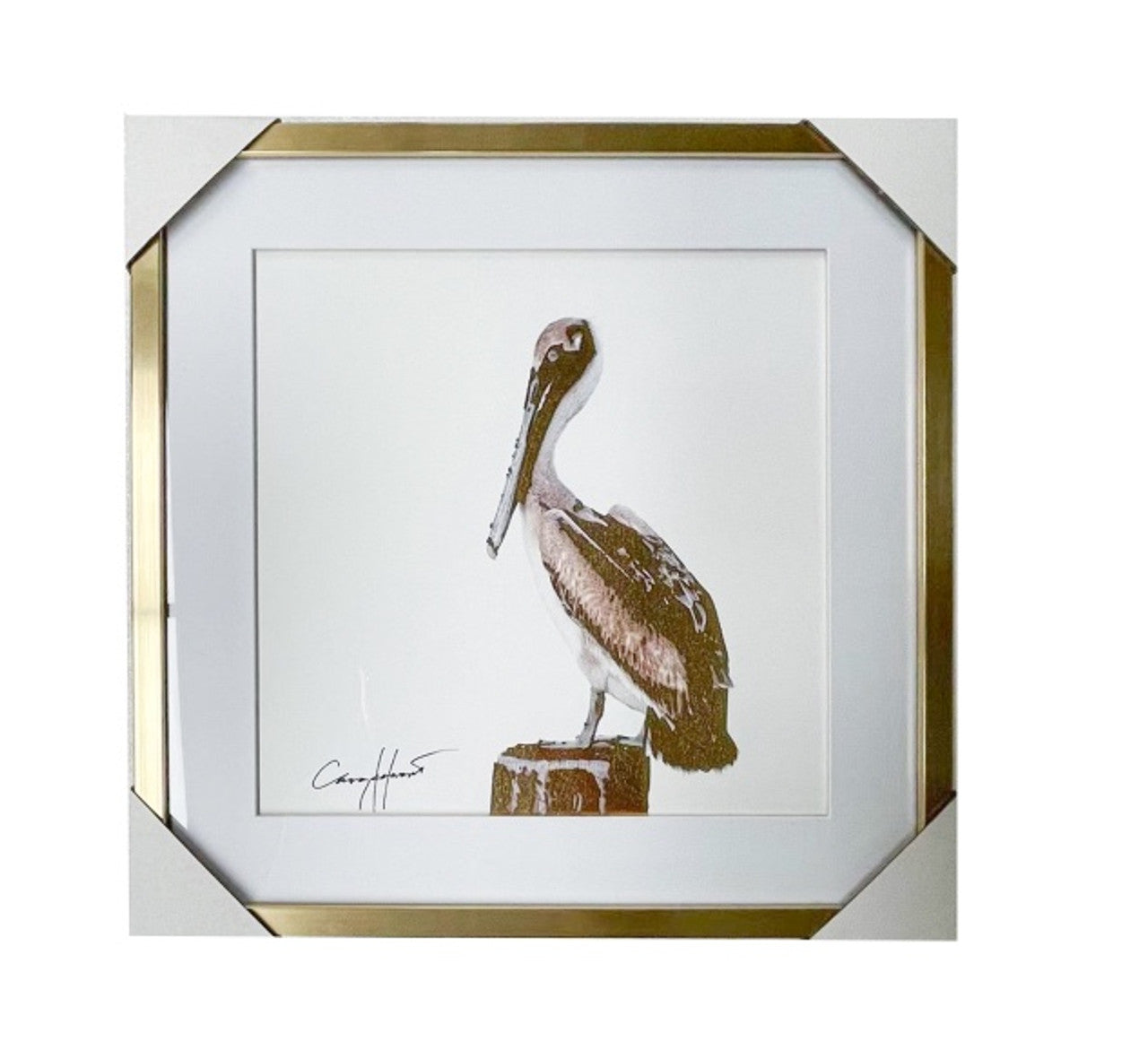 Gold Foil Pelican Framed Art
