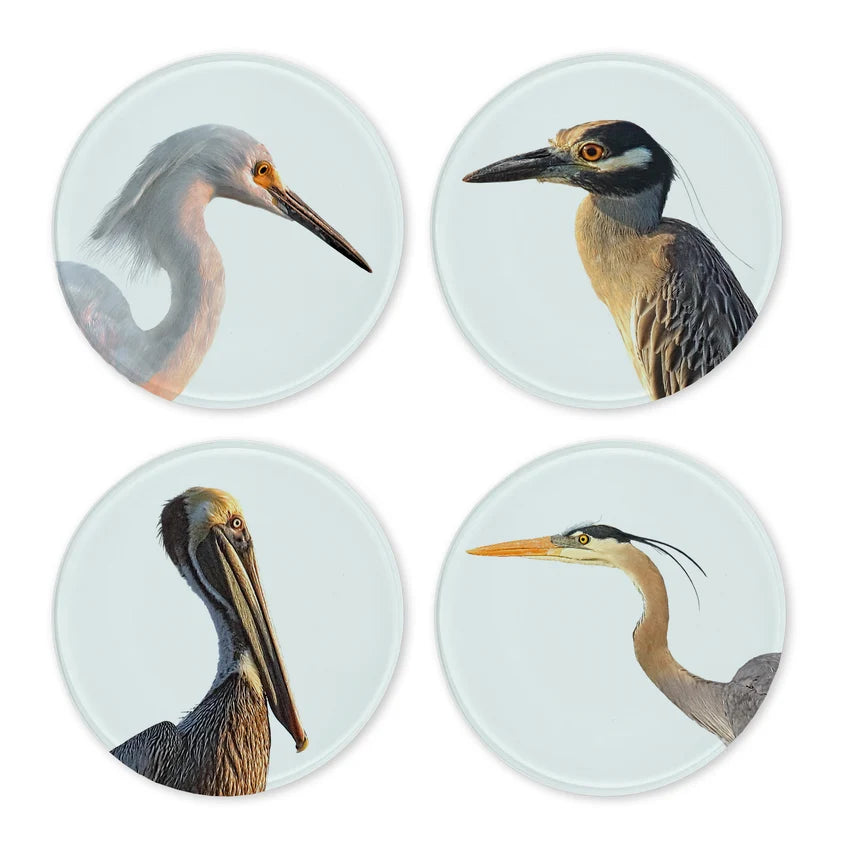 Shore Bird Glass Coaster Set