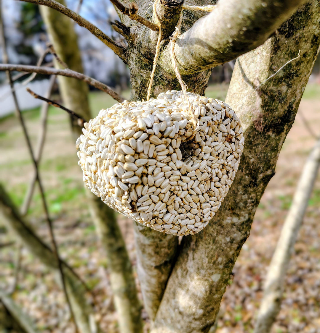 Heart Birdseed Ornament (Safflower)