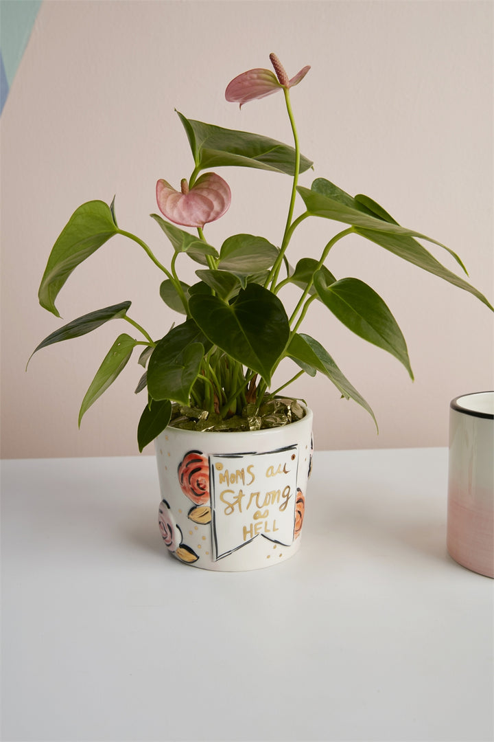 Matriarch Pot