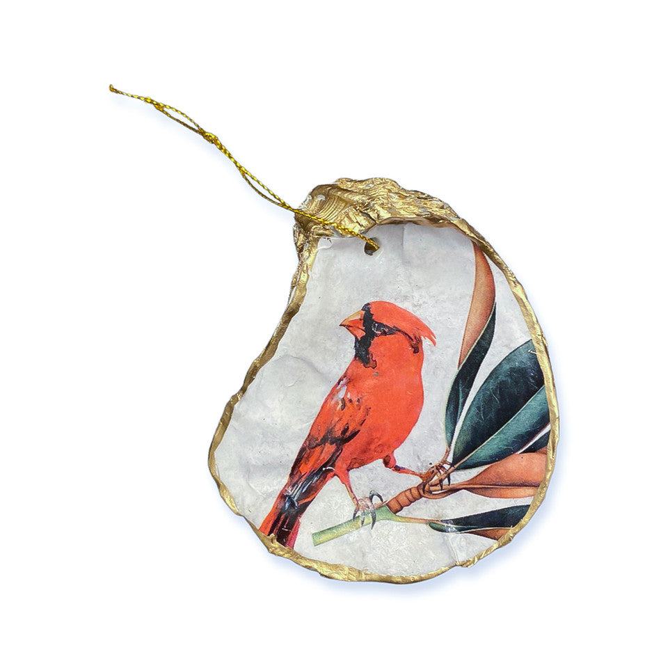Red Cardinal Oyster Ornament