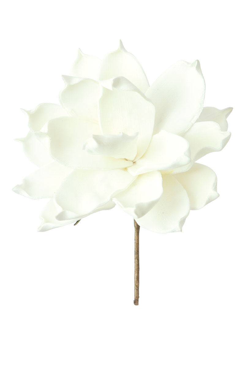 White Magnolia Pick #36