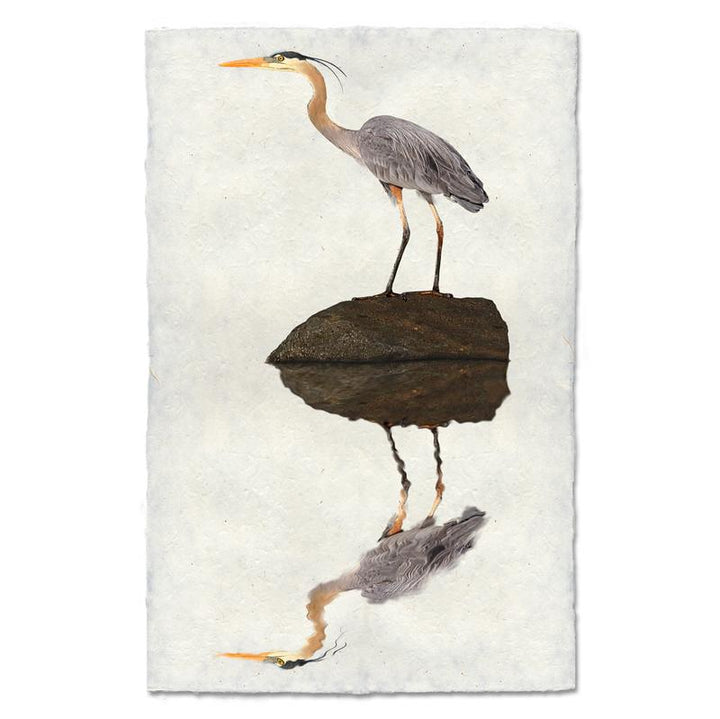 Great Blue Heron On Paper