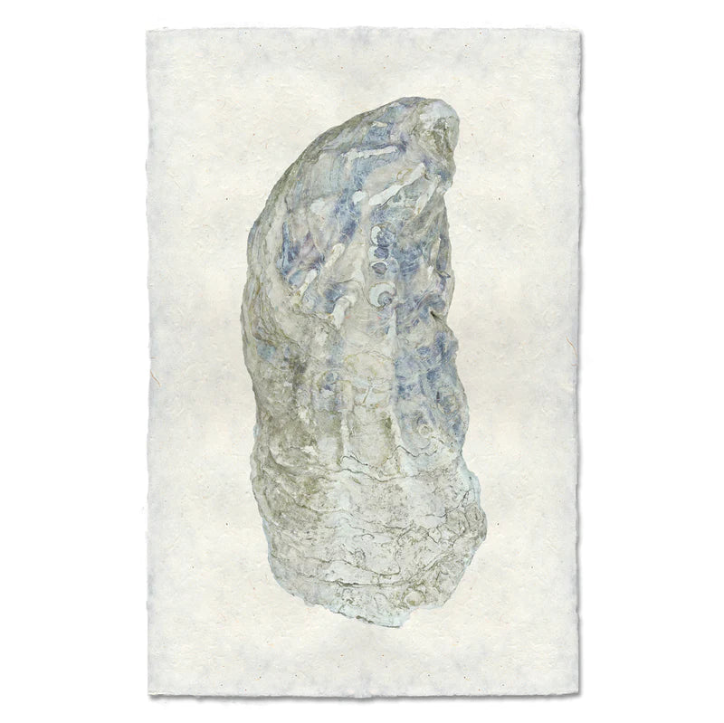 Oyster Print #10