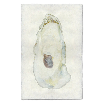 Oyster Print #11