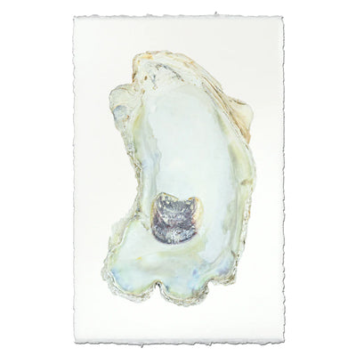 Oyster Print #13