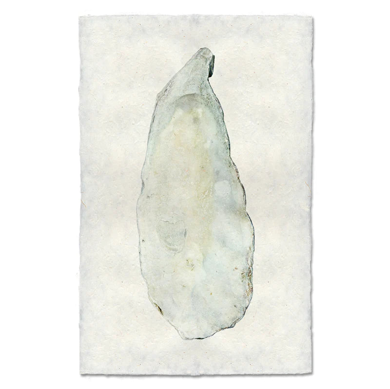 Oyster Prints #9