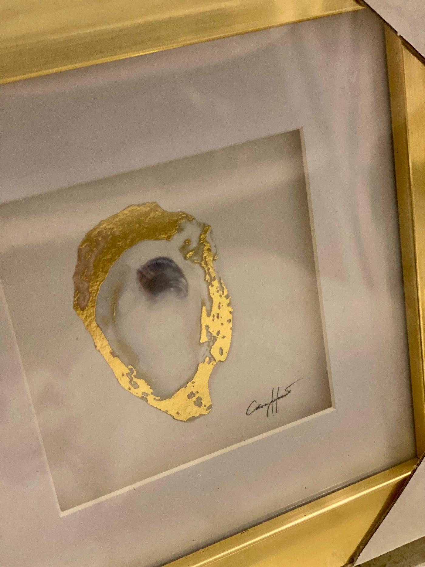 Gold Oyster Framed Prints