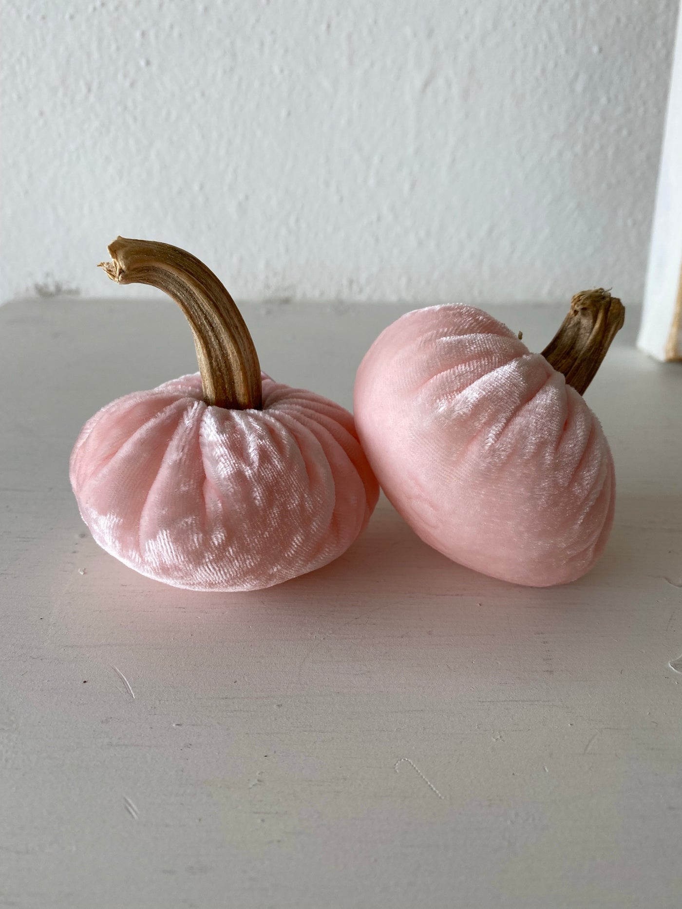 PP Pale Pink Pumpkin