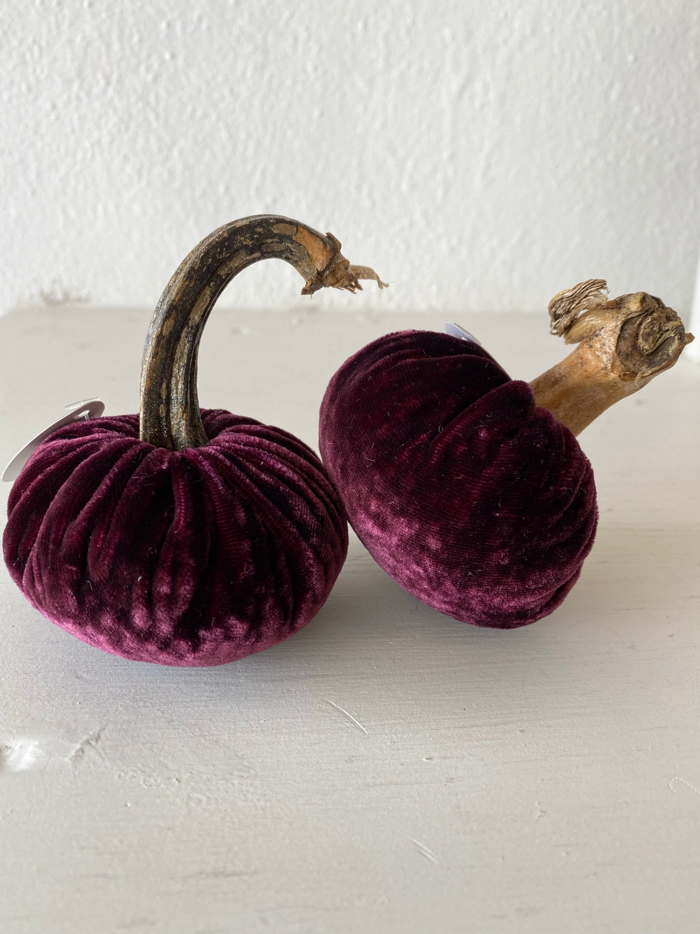 PP Eggplant Pumpkin