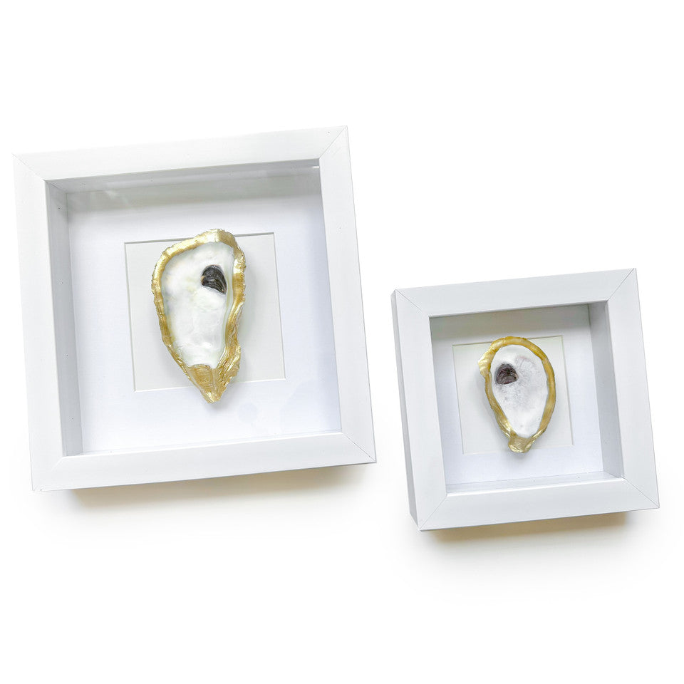 White Oyster Shadow Box Frames