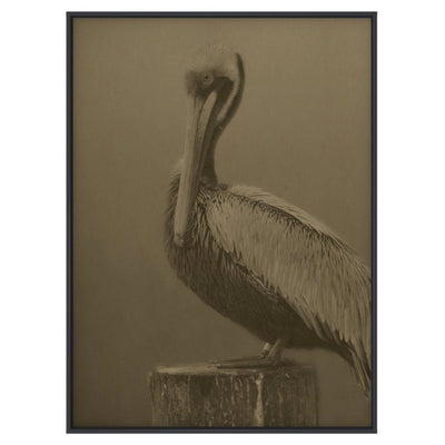 Pelican on Hemp