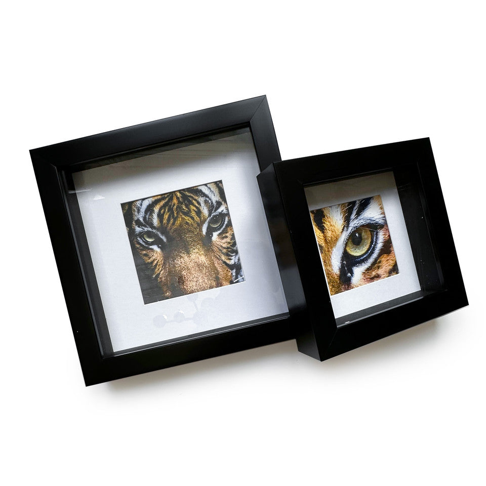 Tiger Shadow Box Frames