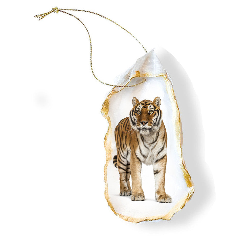 Tiger Oyster Ornament